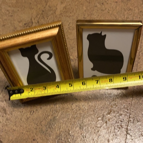 Cat Pictures - Picture 6 of 7